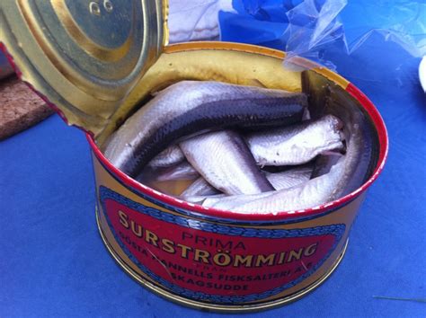 worst smelling fish in a can|Surströmming: The Worlds Smelliest Food